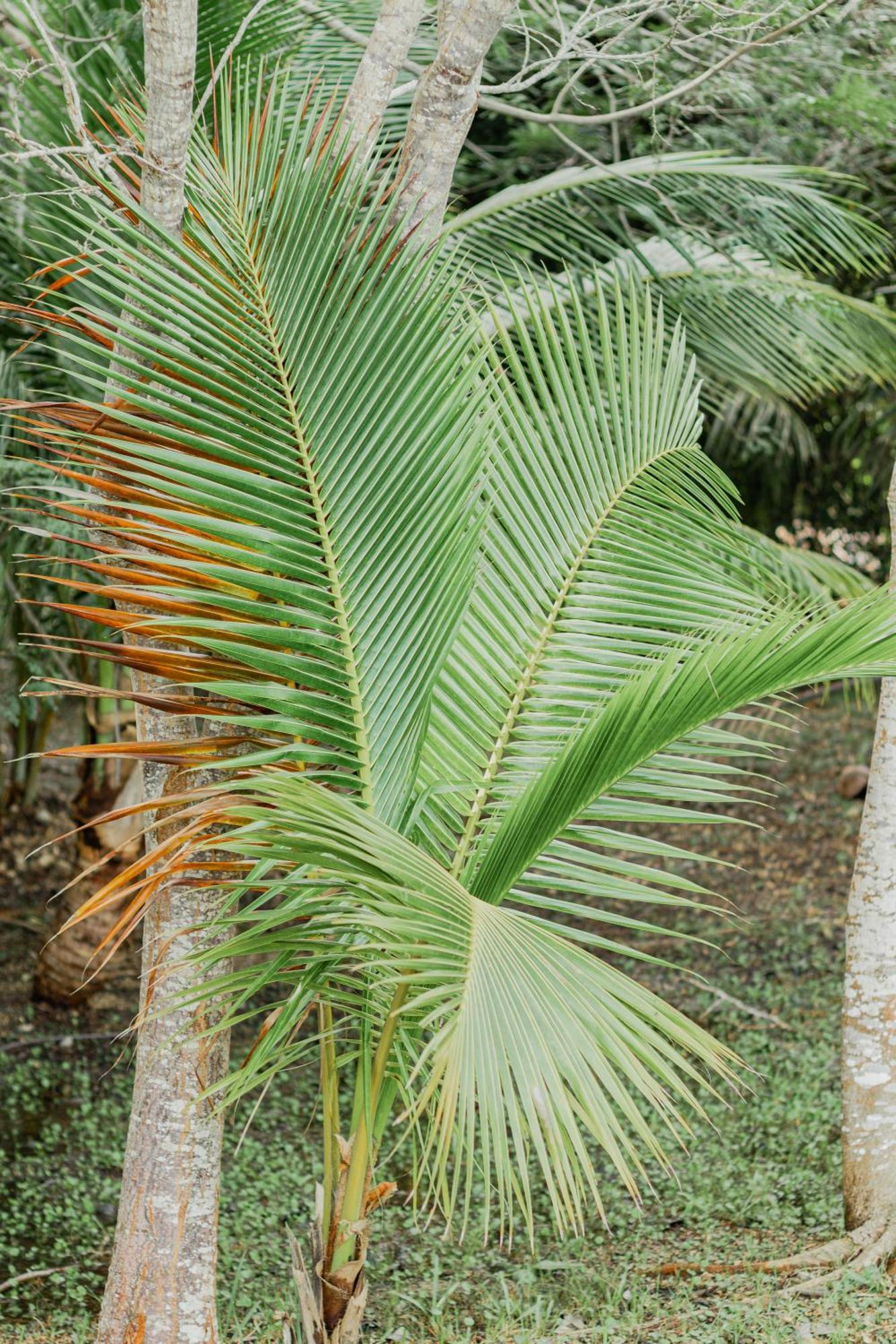 Mayan Playa Bacalar Kültér fotó