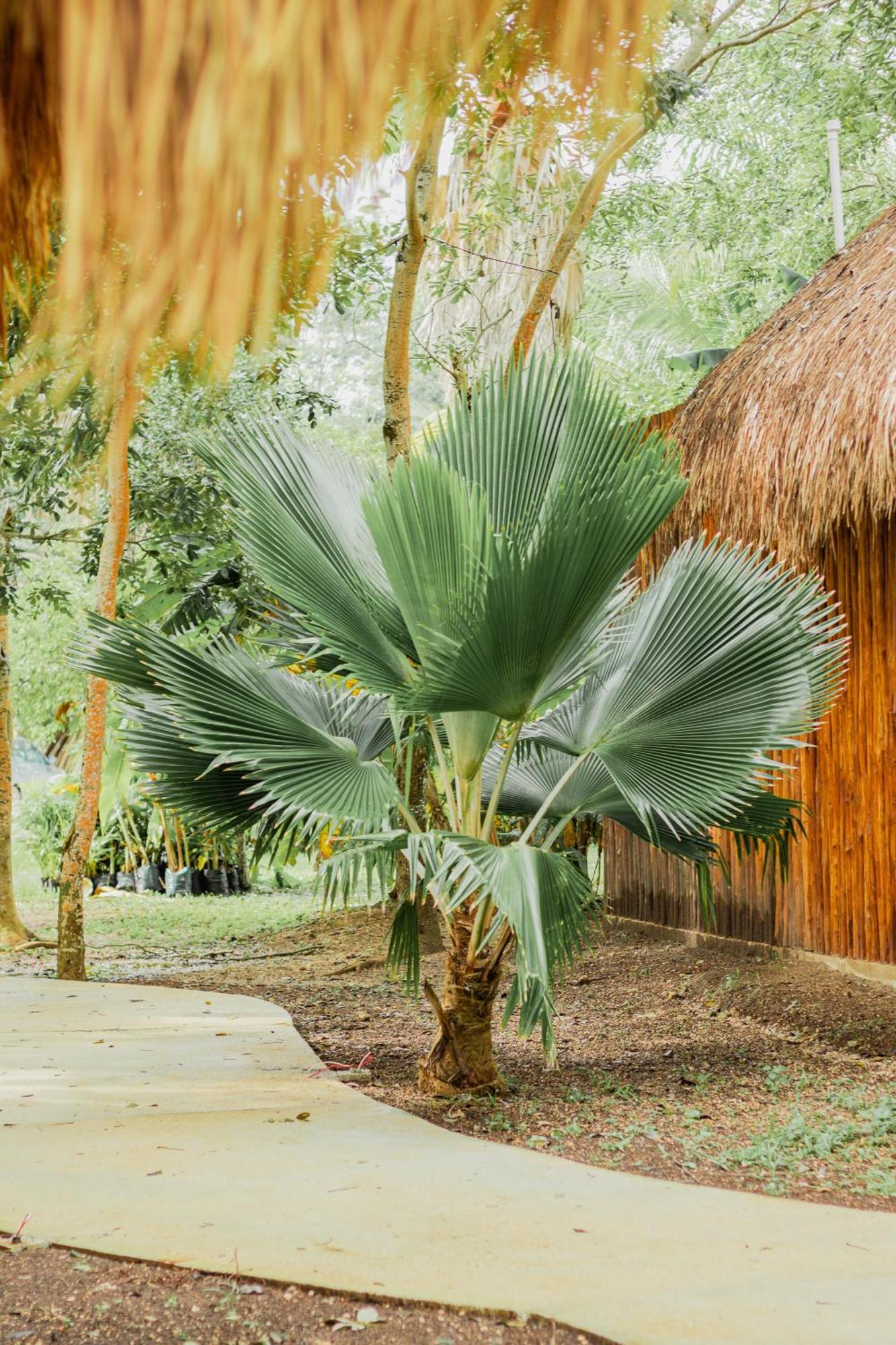 Mayan Playa Bacalar Kültér fotó